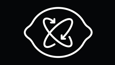 Lemonimage Photography Logo